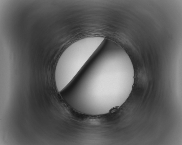 X0000088440228200705220921