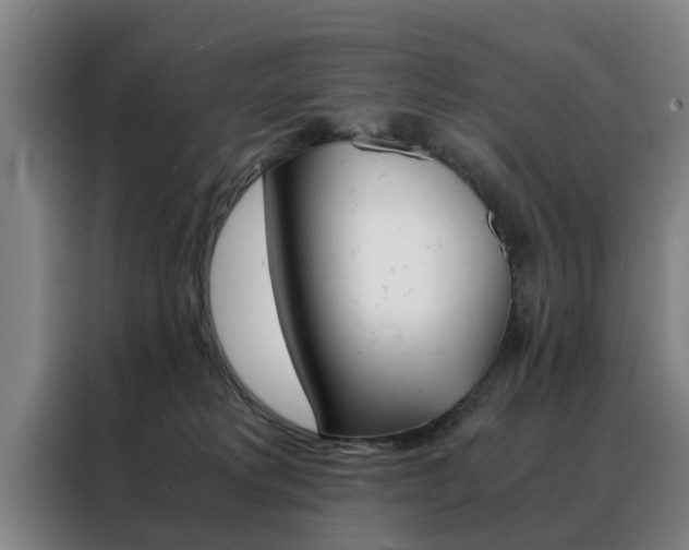 X0000088440229200705220921