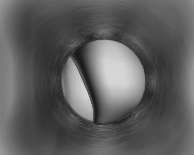 X0000088440232200705220921