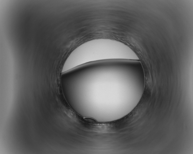 X0000088440233200705220921