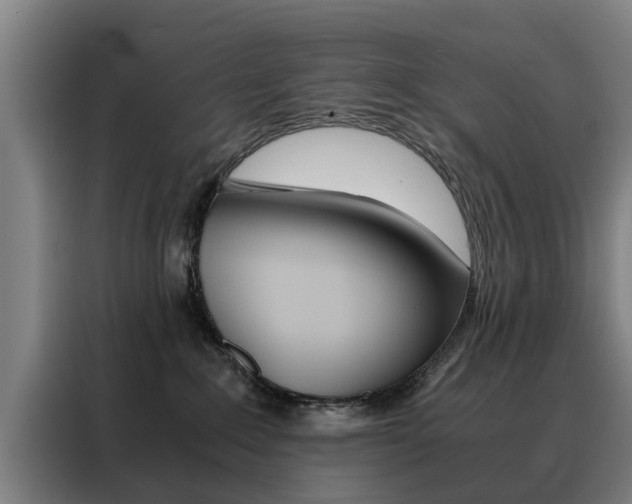 X0000088440235200705220921
