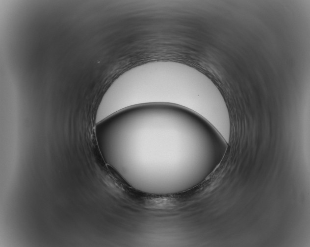 X0000088440237200705220921
