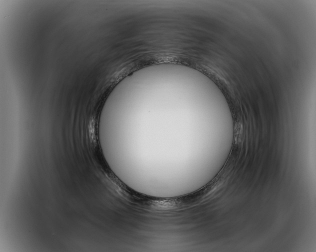 X0000088440238200705220921