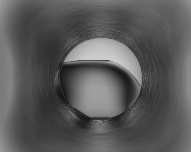 X0000088440239200705220921