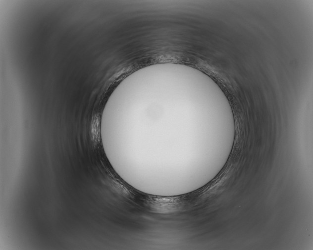 X0000088440240200705220921