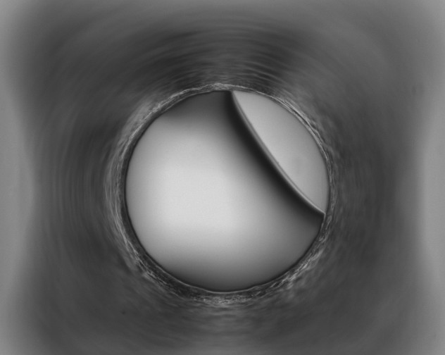 X0000088440241200705220920