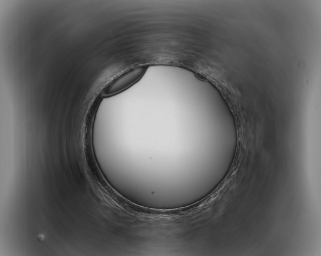 X0000088440242200705220920