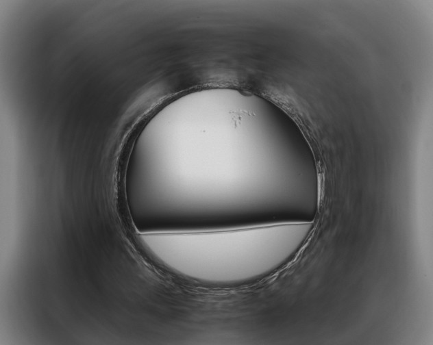 X0000088440243200705220920