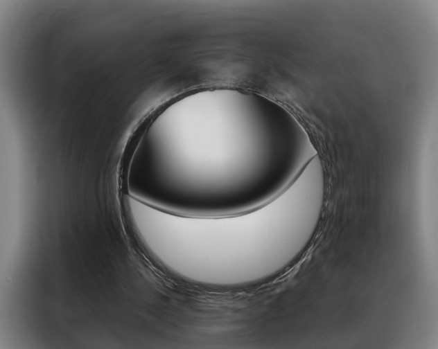 X0000088440244200705220920