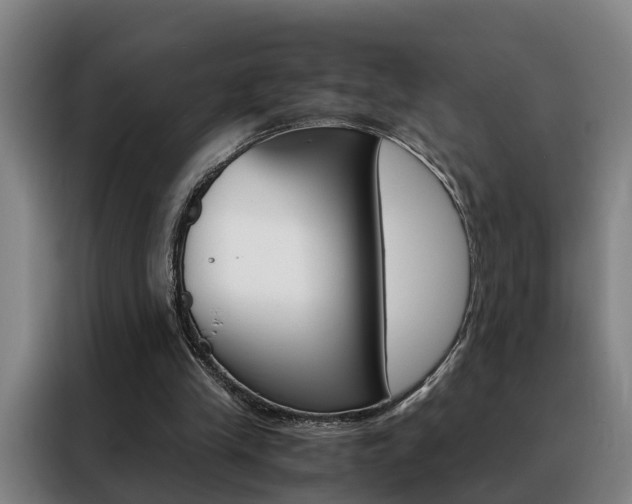 X0000088440245200705220920