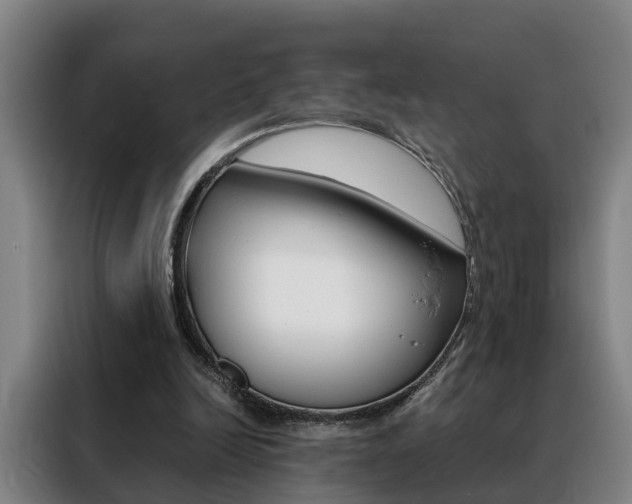 X0000088440246200705220920
