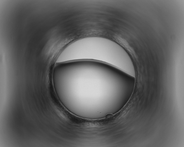 X0000088440250200705220920