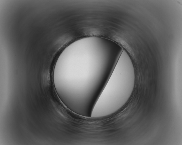 X0000088440251200705220920