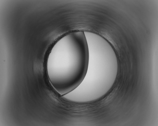 X0000088440252200705220920