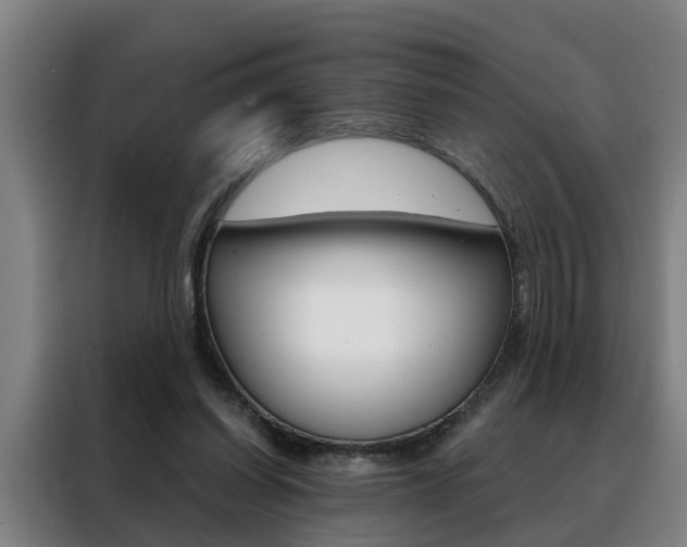 X0000088440254200705220920
