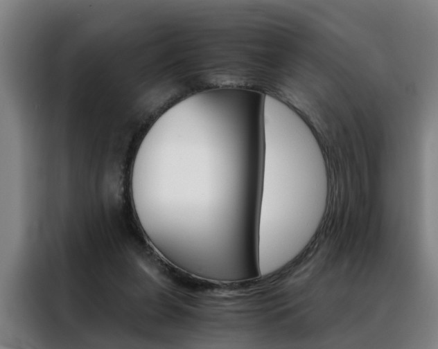 X0000088440255200705220920