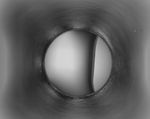 X0000088440257200705220920