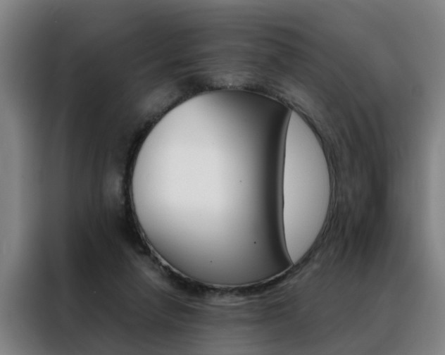 X0000088440258200705220920