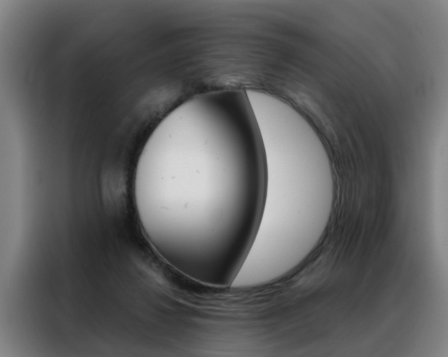 X0000088440260200705220920
