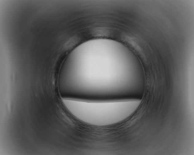 X0000088440261200705220920