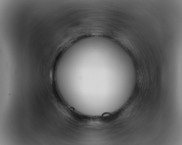 X0000088440262200705220920