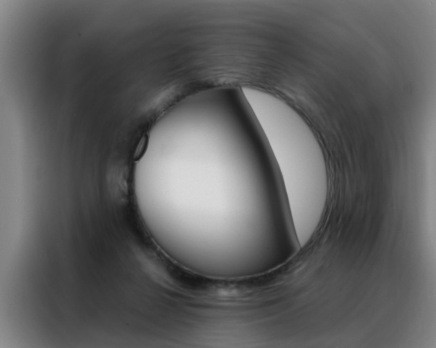 X0000088440264200705220921