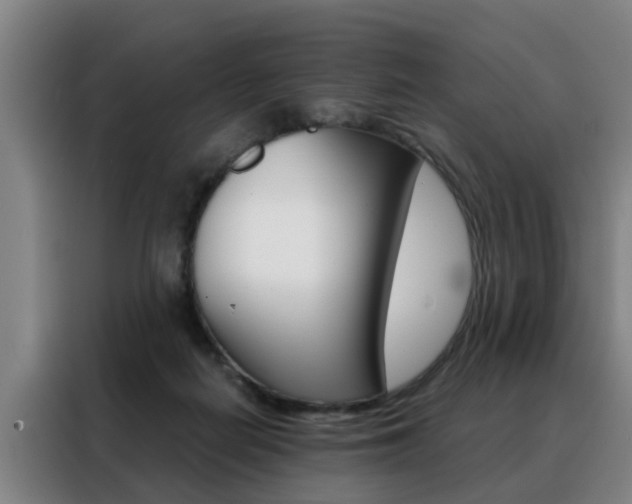 X0000088440266200705220921