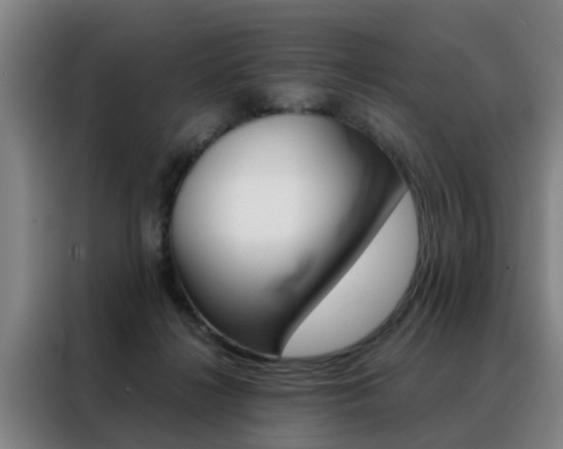 X0000088440268200705220921