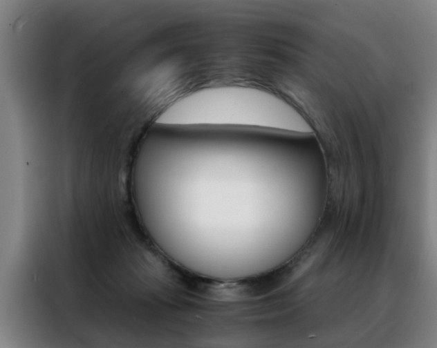 X0000088440269200705220921