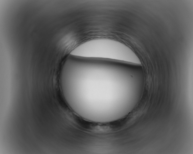 X0000088440270200705220921