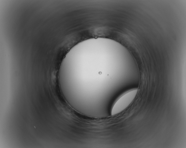 X0000088440271200705220921