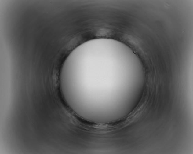 X0000088440273200705220921