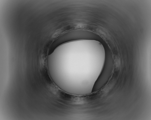 X0000088440276200705220921