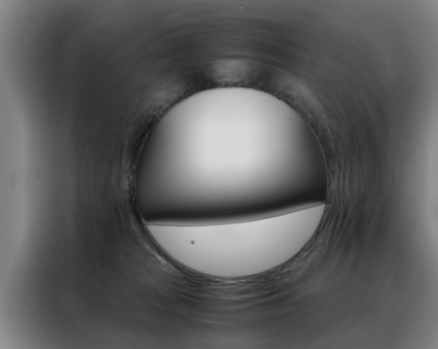 X0000088440277200705220921