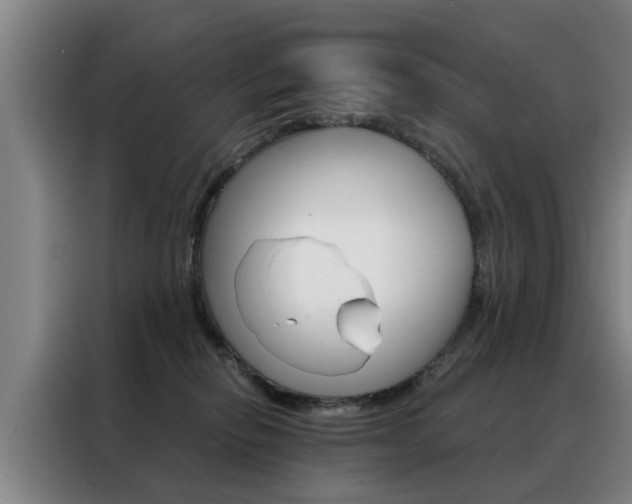X0000088440278200705220921