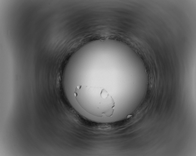 X0000088440279200705220921