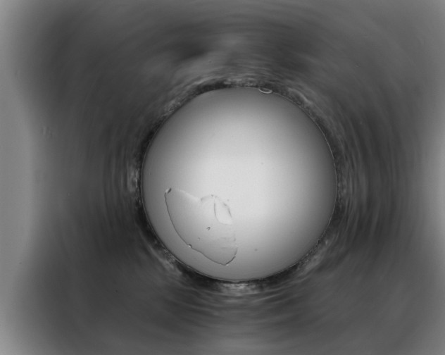 X0000088440281200705220921