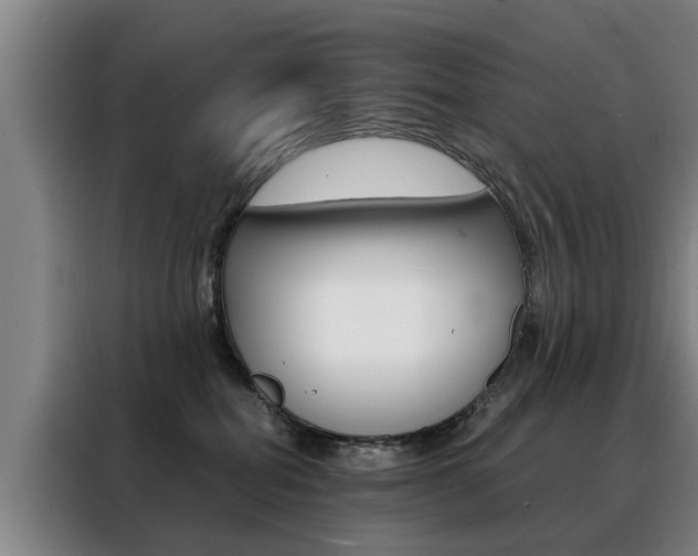 X0000088440282200705220921