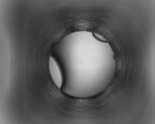 X0000088440283200705220921