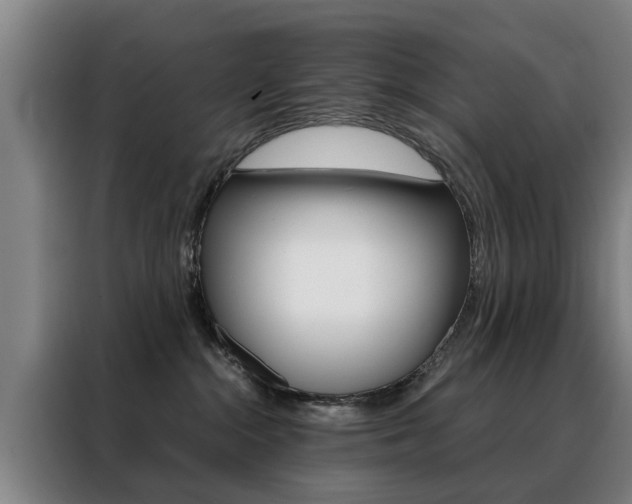 X0000088440284200705220921
