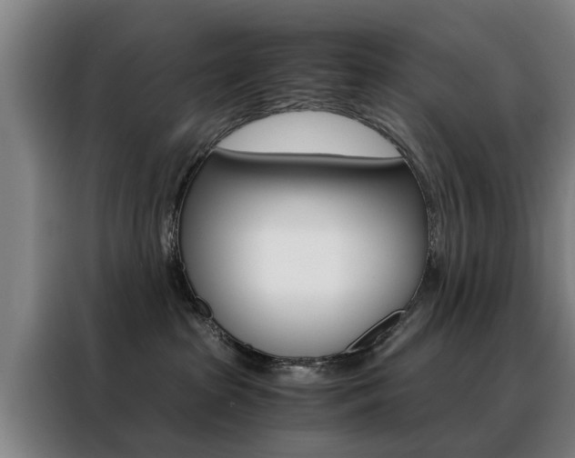 X0000088440285200705220921
