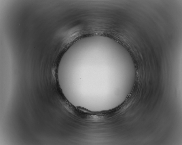 X0000088440286200705220921