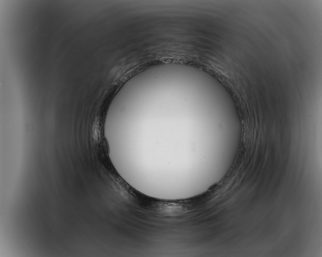 X0000088440287200705220921
