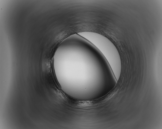 X0000088440288200705220921