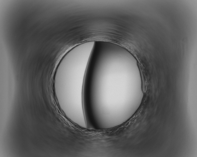 X0000088440289200705220920