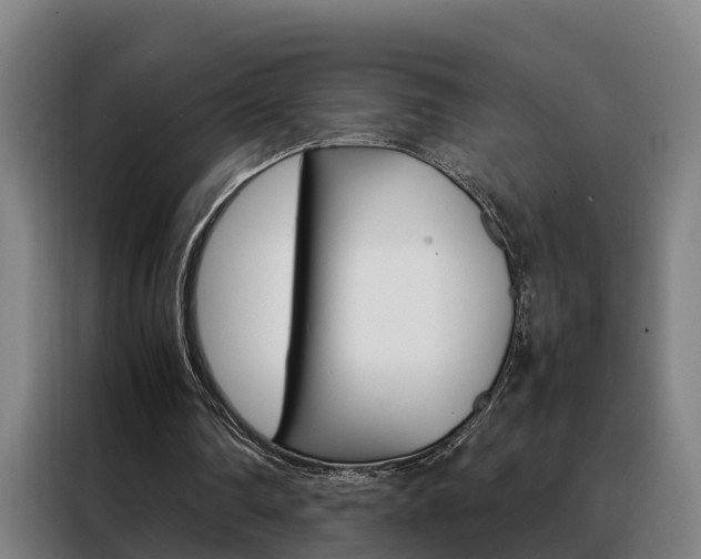 X0000088440290200705220920