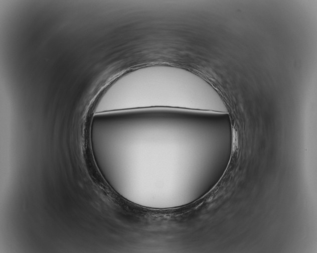 X0000088440291200705220920