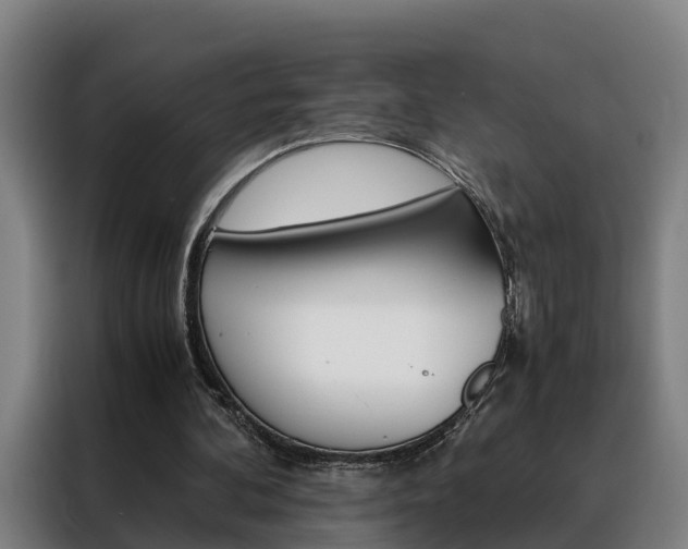X0000088440292200705220920