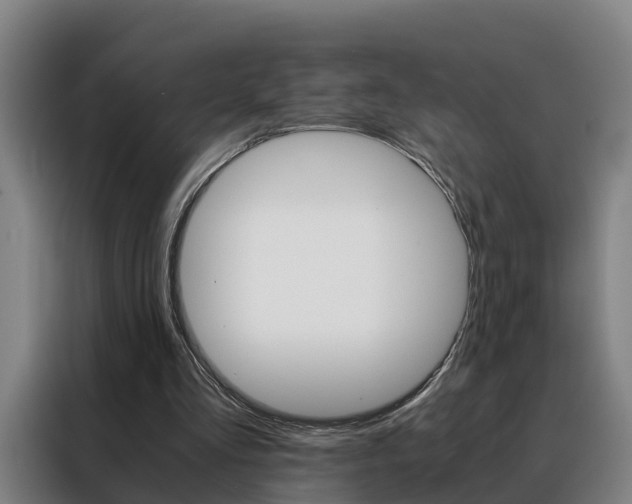 X0000088440293200705220920