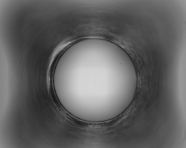 X0000088440294200705220920